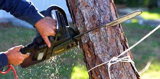 Best Weed Control  in Mullica Hill, NJ