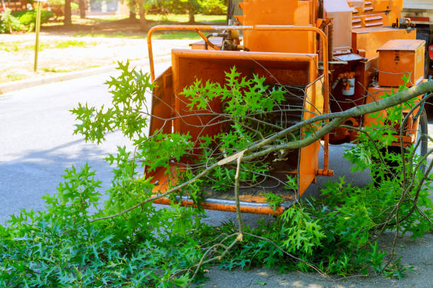 Best Firewood Processing and Delivery  in Mullica Hill, NJ