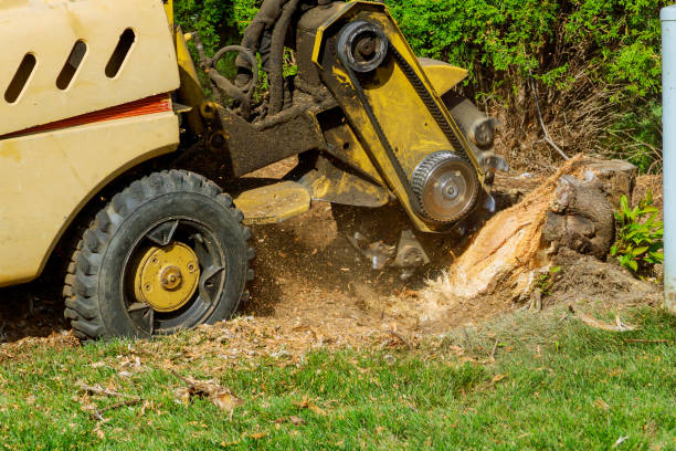Best Artificial Turf Installation  in Mullica Hill, NJ