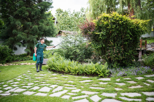 Best Organic Lawn Care Solutions  in Mullica Hill, NJ